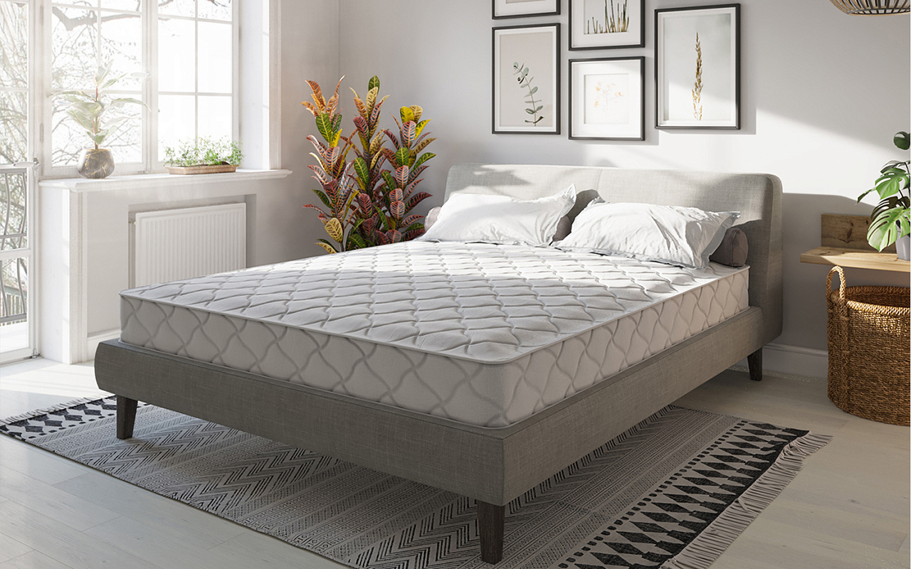 Evita Беспружинные Line Plus Contour фото 3