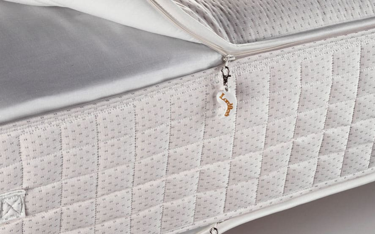 Lordflexs Anniversario фото 2